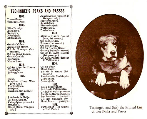 Image of Tschingel the mountaineering dog and the printed list of her peaks and passes