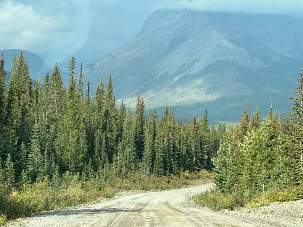 Gravel road and landscape in the Spray Valley Provincial Park with forest on each side of the road and mountains in the distance